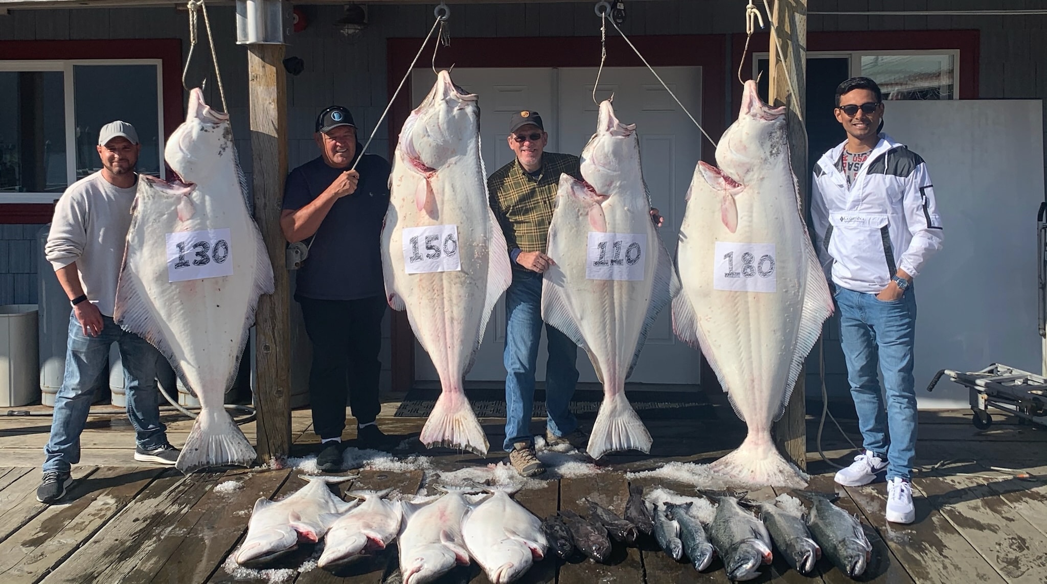 Four anglers with trophy halibut weighing 130, 150, 110, and 180 lbs on the dock